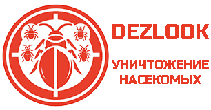 Dezlook.by Профессиональная дезинсекция в Минске